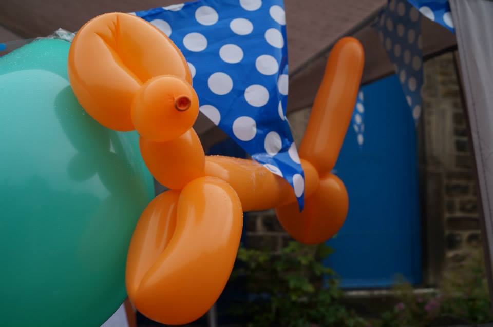 Broomhill Vets Fundraiser Balloon